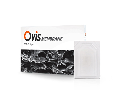 Ovis BCP/Collagen MEMBRANE 이미지